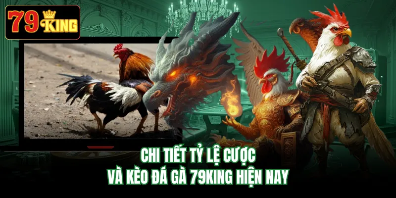 Chi tiết tỷ lệ cược và kèo đá gà 79KING hiện nay 