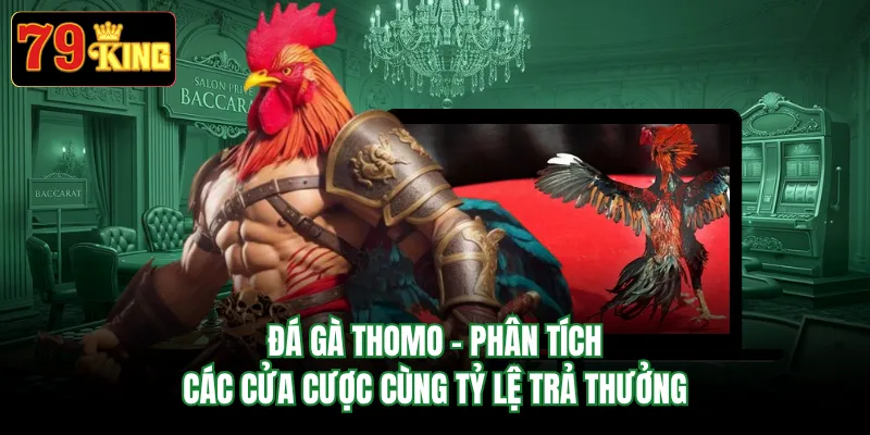 Đá Gà Thomo - Phân Tích Các Cửa Cược Cùng Tỷ Lệ Trả Thưởng