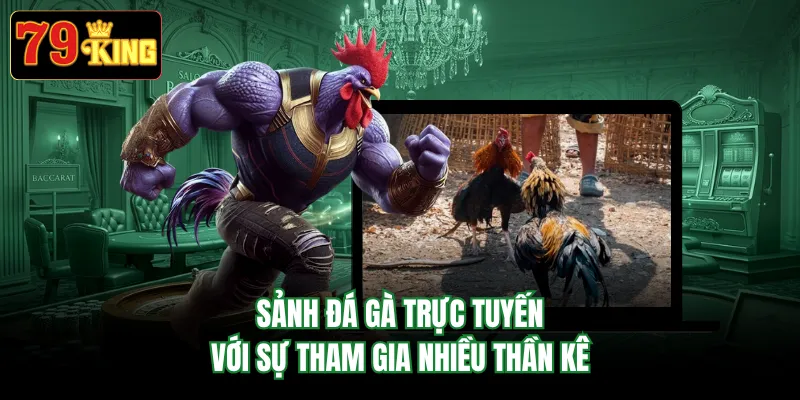 Sảnh đá gà trực tuyến với sự tham gia nhiều thần kê